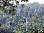 " " (Stone Forest)  120   -    (Kunming),   (Yunnan), . 
