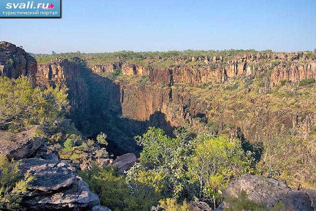 ������������ ���� "������" (Kakadu), ���������.