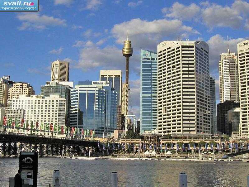  (AMP Tower), , .