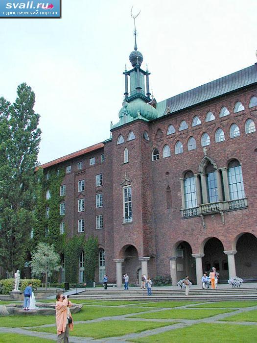 ������, ���������, ������.