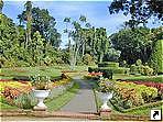 Ботанический сад в Канди, Шри-Ланка.