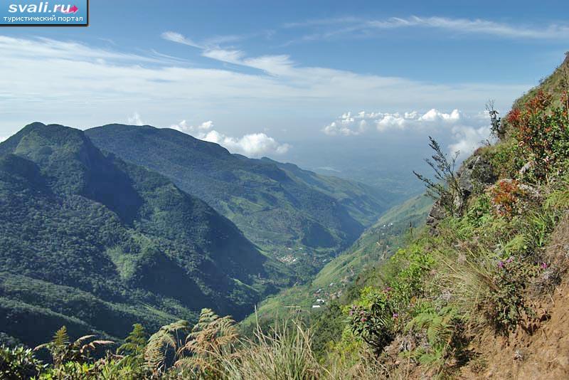 ���-�����.