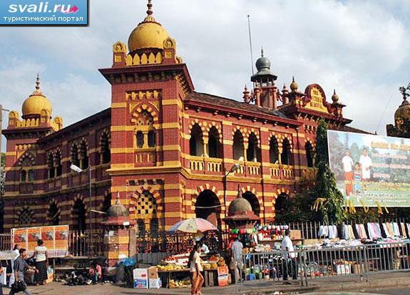 ������ ���������, �������, ���-�����.