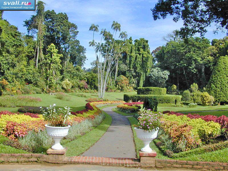 ������������ ��� � �����, ���-�����.