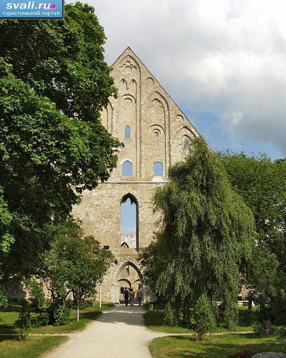 Развалины монастыря Святой Биргиты XV века, Таллин, Эстония.