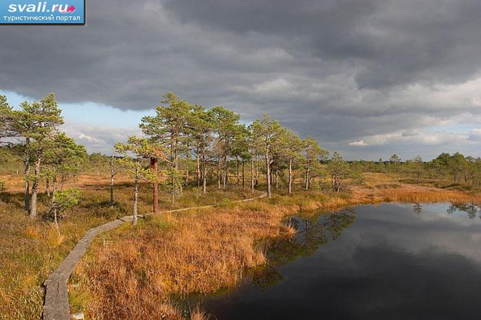 Национальный парк Соомаа - болотный заповедник, Эстония.