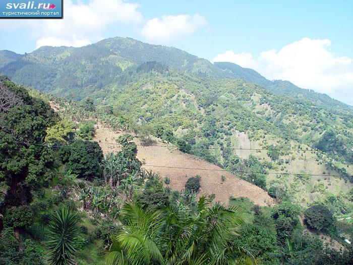 ������� ����, ������.