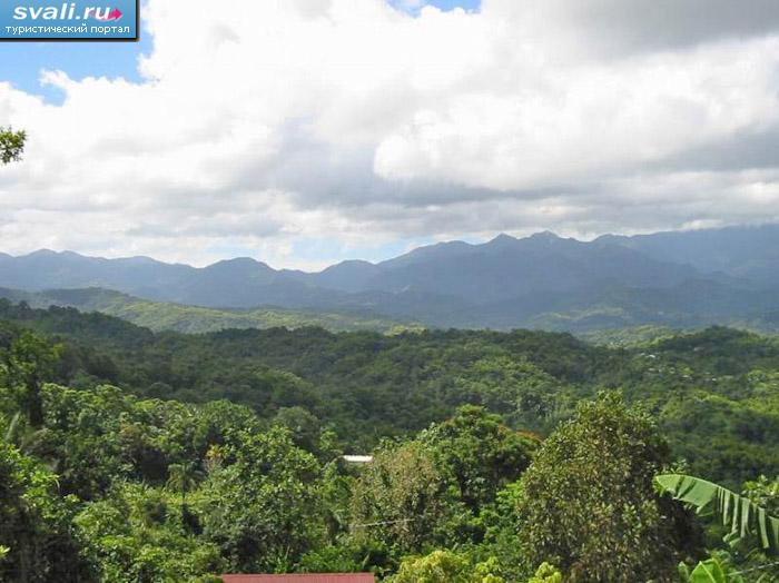 ������� ����, ������.