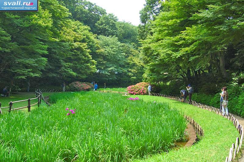   (Meiji Shrine), , .