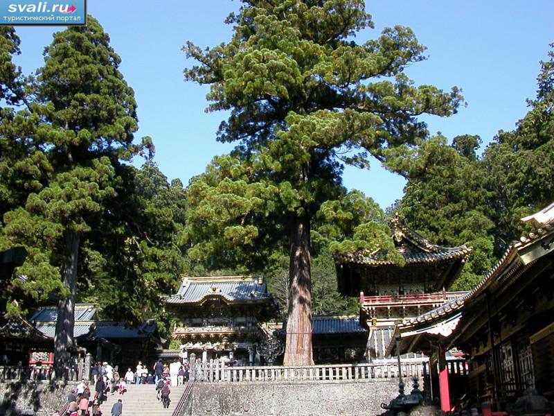  (Nikko), .