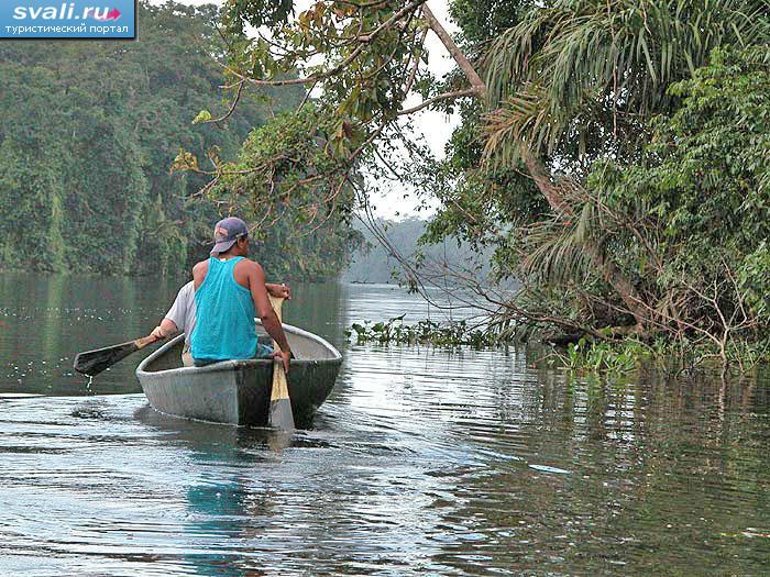 Tortuguero,  , -.