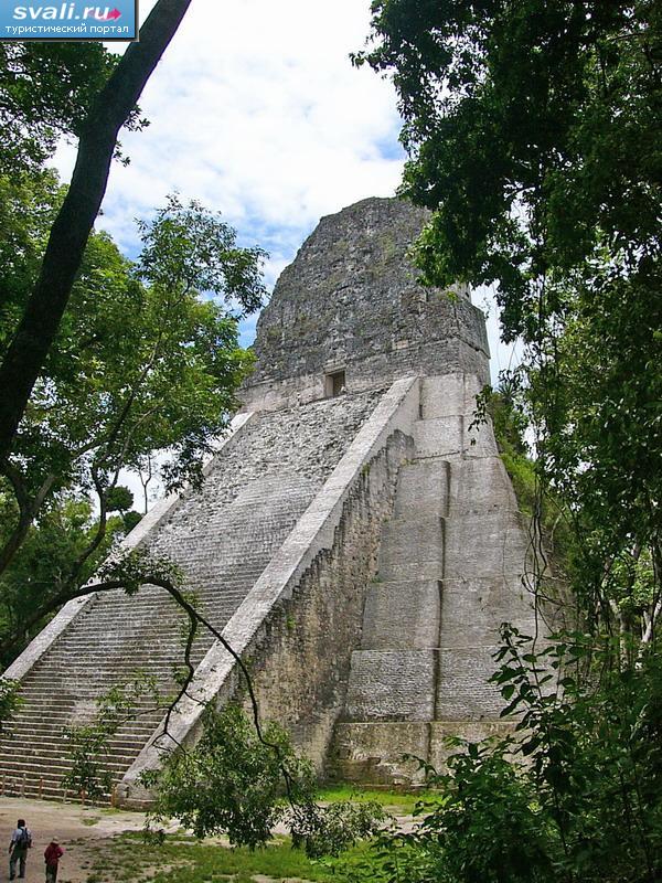 Тикаль - самая высокая пирамида, Флорес, Гватемала.