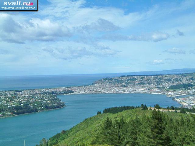 �������, ����� ��������. 