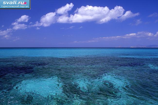 ������ ����������, ���������� �������, �������. 