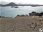   (Bartolome),   (Galapagos islands), .