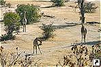    (Matobo National Park), .