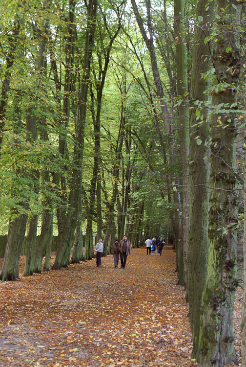 �������.