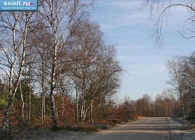 ��������� �������, �������.