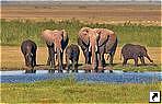 Национальный парк Цаво, Кения.