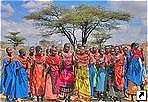 Национальный заповедник Самбуру (Samburu), Кения.