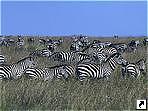 Национальный парк Марсабит, Кения.