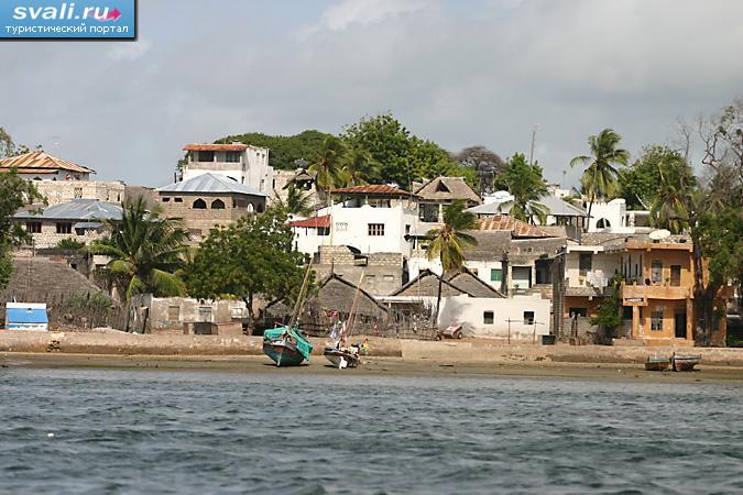 ����, �����.