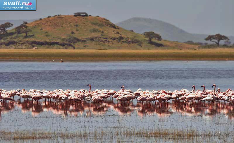 ,   (Nakuru), .