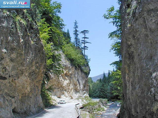 ������ �� ���� �������, ��������.