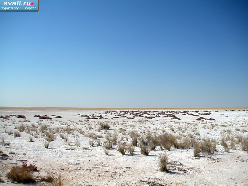 ������������ ���� �����,  �������.