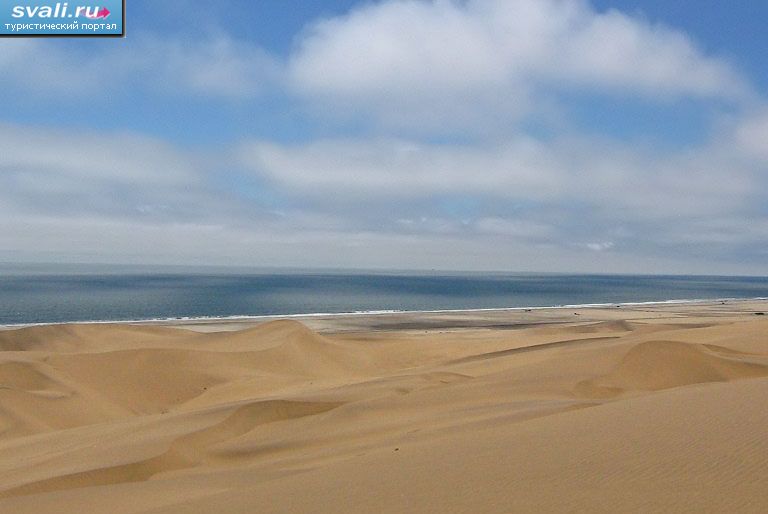 ����������� �����������, �������.