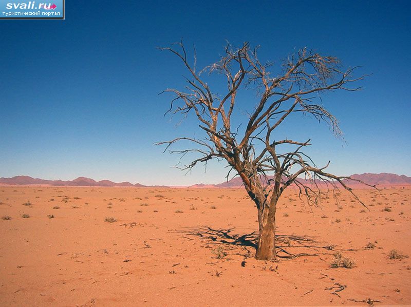 �������.