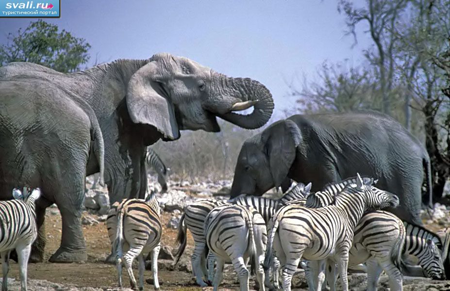 �������.