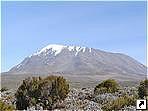    (Kilimanjaro), .