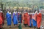 Окрестности кратера Нгоронгоро (Ngorongoro),  люди из народа Масаи, Танзания.
