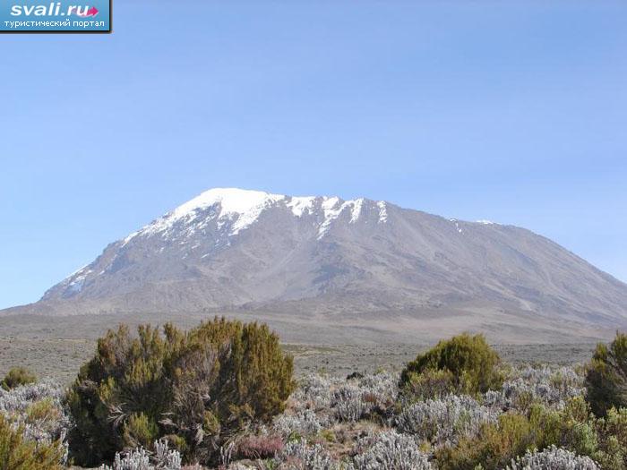 ������������ ���� ������������ (Kilimanjaro), ��������.