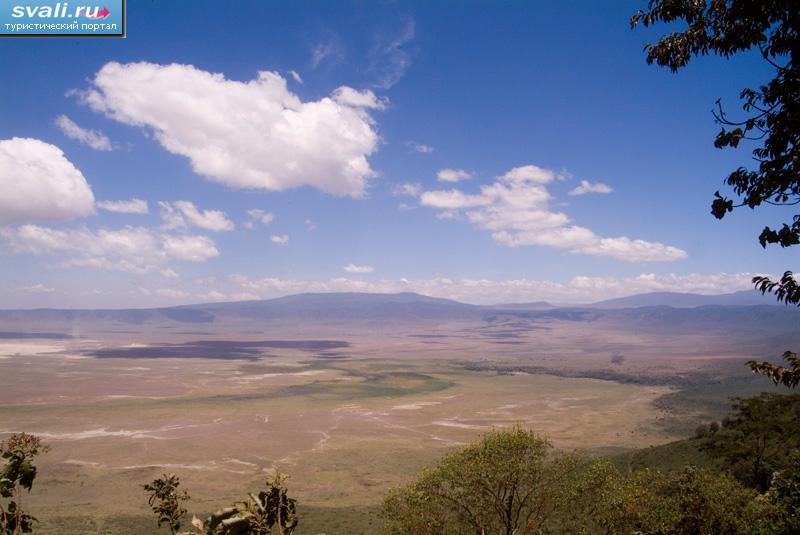   (Ngorongoro), .