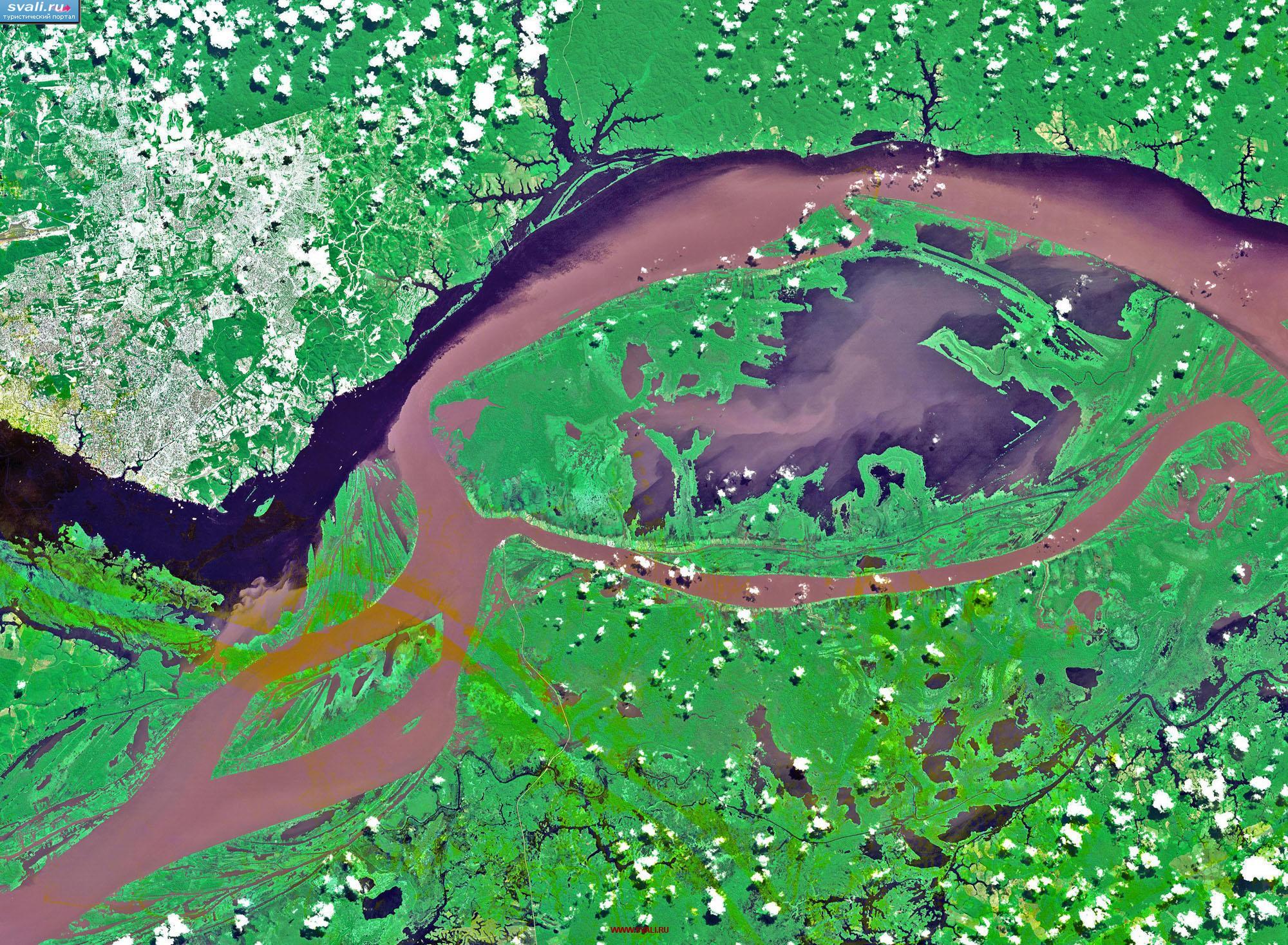 карты : Манаус, Амазония, Бразилия. Вид со спутника. | Бразилия ...