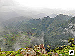   (Simien), .