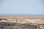 Солёное озеро, впадина Данакиль (Danakil Depression), Эфиопия.
