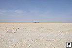 ̣   (Assale)     (Hamd Ela),   (Danakil Depression), .