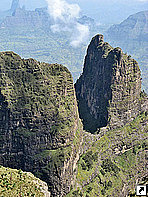   (Simien), .