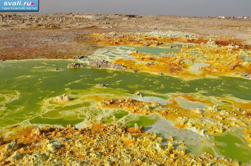������ ����� (Dalol) �������� �� ������� �������� (Hamd Ela), ������� �������� (Danakil Depression), �������.