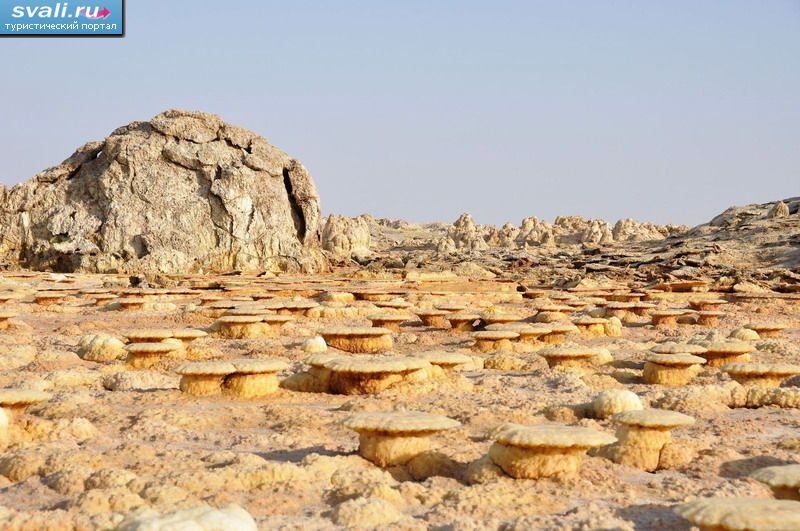   (Dalol)     (Hamd Ela),   (Danakil Depression), .