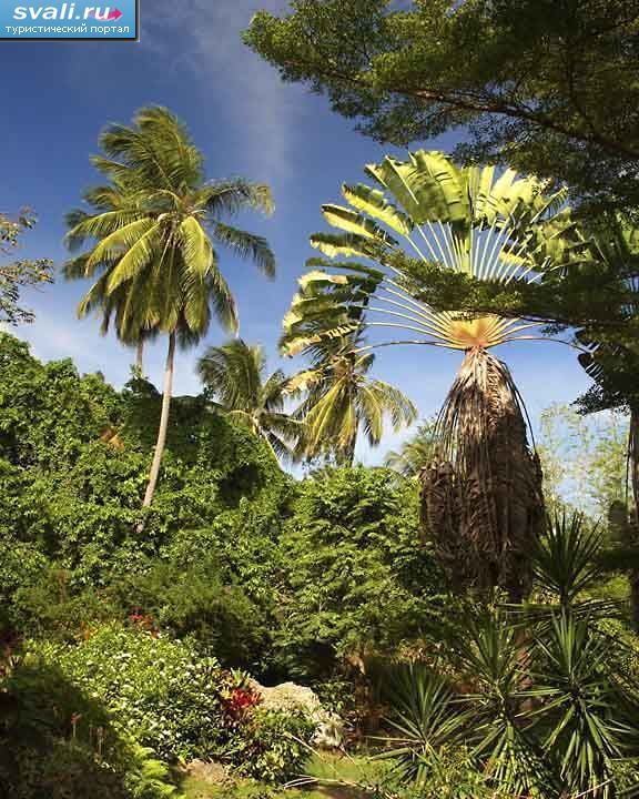Ботанический сад Барбадоса.