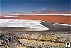   (Laguna Colorada), .