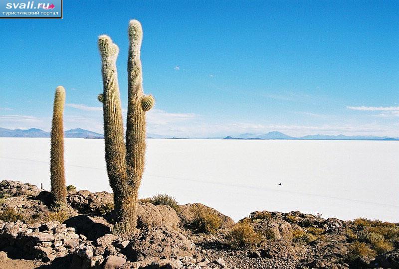 ����-��-�������� (Isla de los Pescadores), ����� �����-��-���� (Salar de Uyuni), �������.
