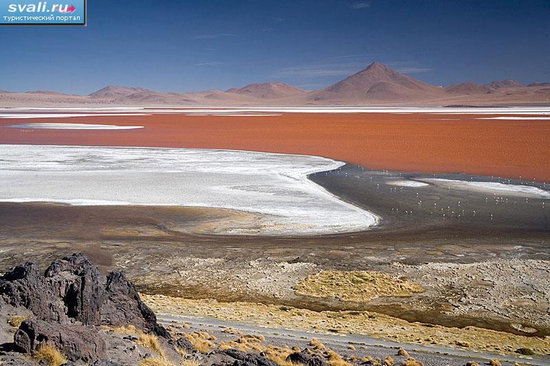   (Laguna Colorada), .