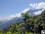 В горах Сьерра-Невада-де-Санта-Марта, Колумбия.