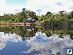 Амазония, Летисия, Колумбия.
