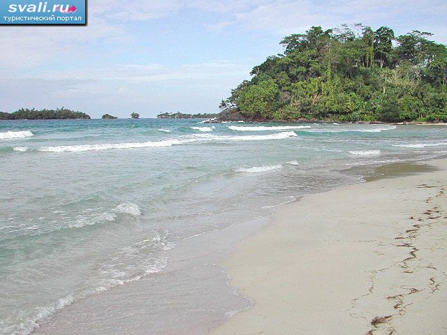  - (Red Frog,  Rana Roja), -- (Bocas del Toro), .